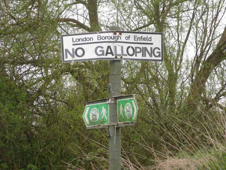 No Galloping