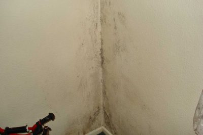 Understanding Damp and Mould CHG