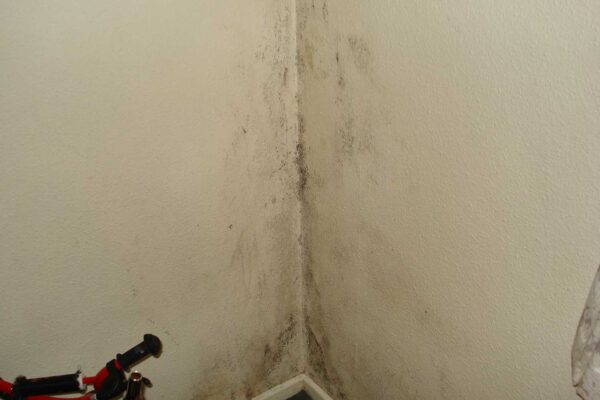 Mould and Damp - Central Housing Group